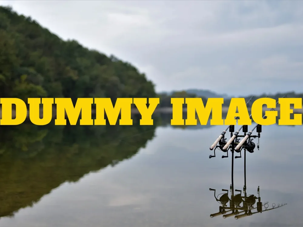 dummy-image dummy-image
