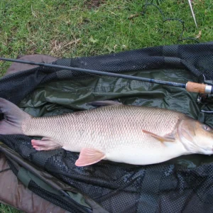 Hi-‘S’ Specialist & Barbel