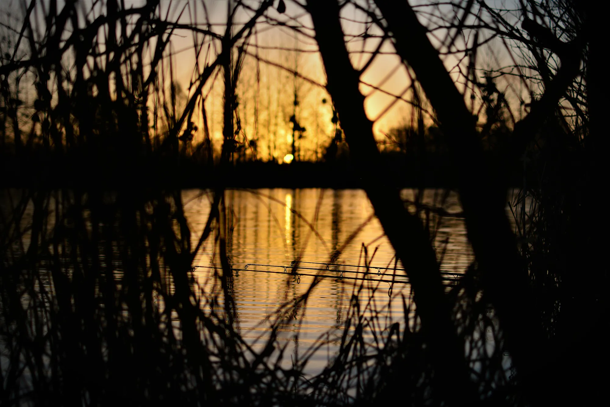scenic-random-dawn-shot